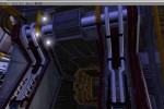 The Y-Project (PC)