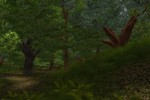 Wish (PC)