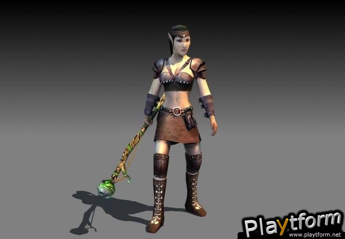 Dungeons & Dragons Heroes (PlayStation 2)