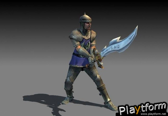 Dungeons & Dragons Heroes (PlayStation 2)