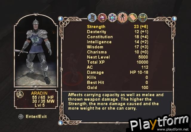 Dungeons & Dragons Heroes (PlayStation 2)