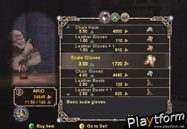 Dungeons & Dragons Heroes (PlayStation 2)
