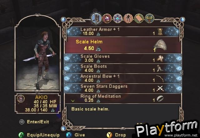 Dungeons & Dragons Heroes (PlayStation 2)