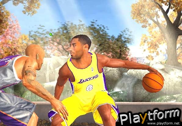 NBA Ballers (GameCube)