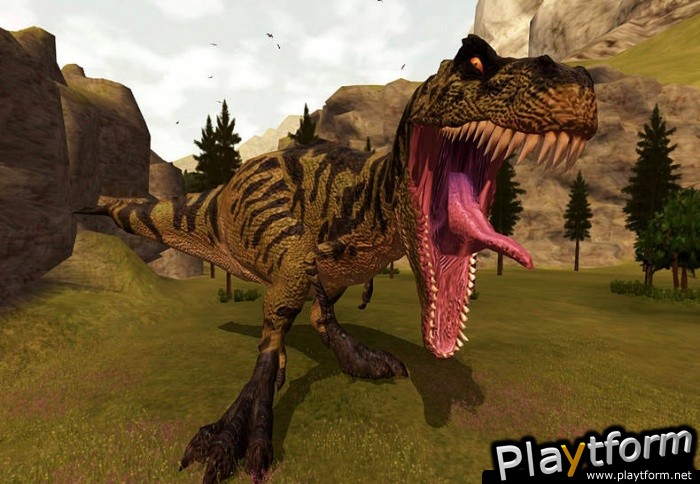 BC (Xbox)