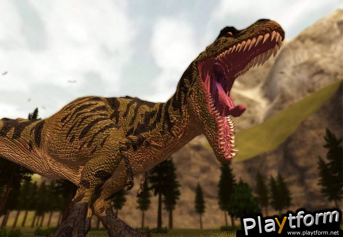 BC (Xbox)