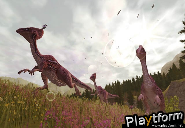 BC (Xbox)