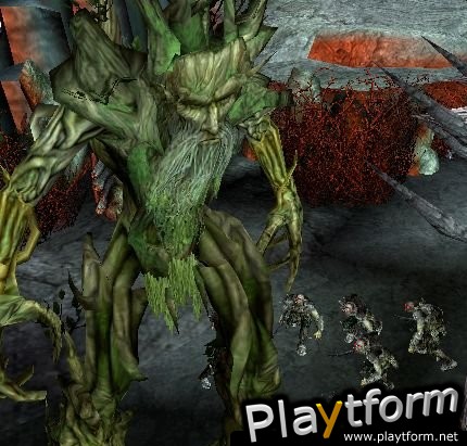 The Lord of the Rings: The Treason of Isengard (Xbox)