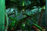 Carrier: The Next Mutation (PlayStation 2)