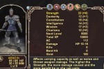 Dungeons & Dragons Heroes (PlayStation 2)