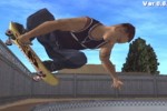 TransWorld Skateboarding (Xbox)