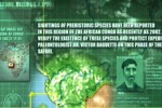 Savage Safari Hunt (Xbox)