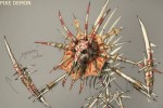 Painkiller: Hell Wars (PSP)