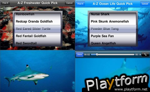 Backyard Zoo Flashcards Gold (iPhone/iPod)