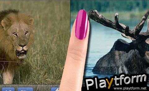 Backyard Zoo Flashcards Gold (iPhone/iPod)