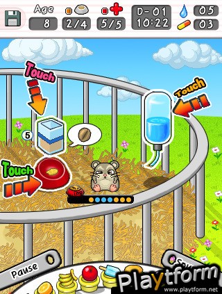 Mini Hamsters Breeding (iPhone/iPod)