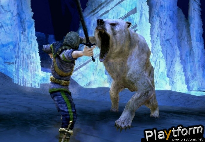 The Lord of the Rings Online: Siege of Mirkwood (PC)