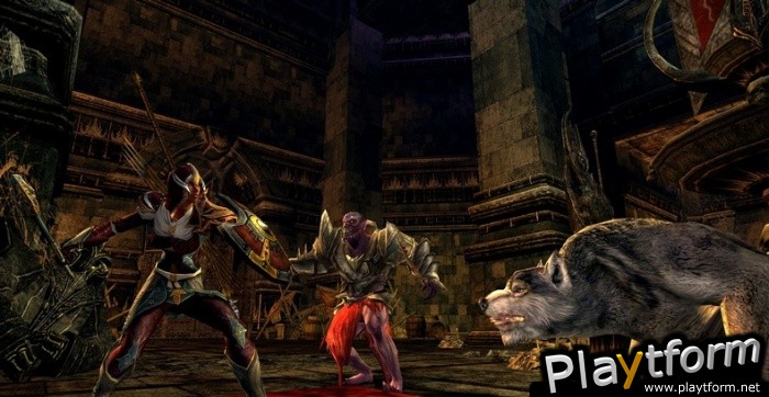 The Lord of the Rings Online: Siege of Mirkwood (PC)