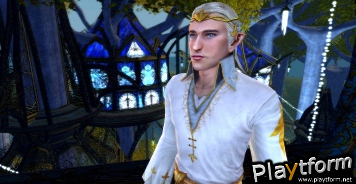 The Lord of the Rings Online: Siege of Mirkwood (PC)