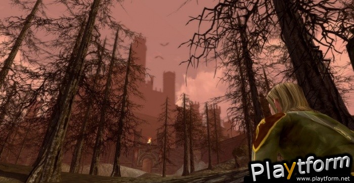 The Lord of the Rings Online: Siege of Mirkwood (PC)