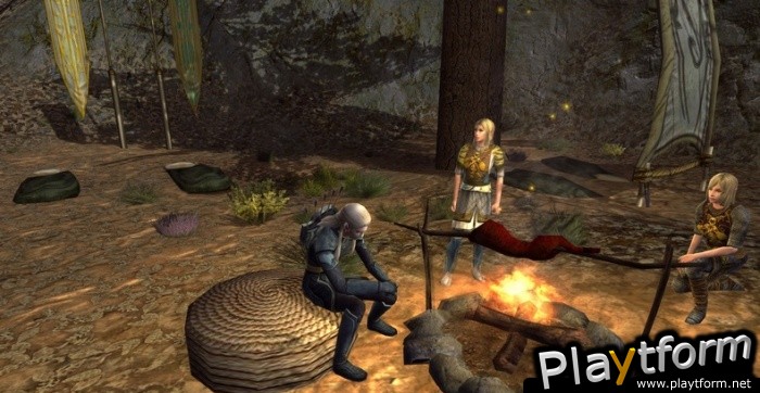 The Lord of the Rings Online: Siege of Mirkwood (PC)