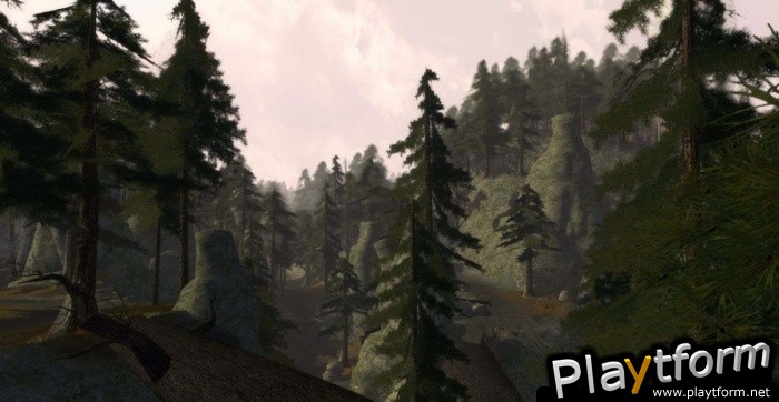 The Lord of the Rings Online: Siege of Mirkwood (PC)