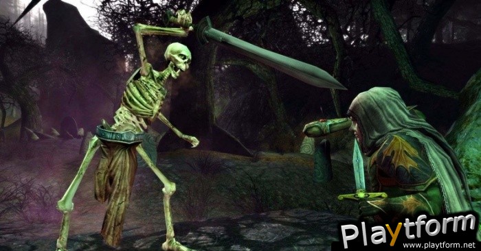 The Lord of the Rings Online: Siege of Mirkwood (PC)