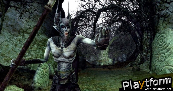The Lord of the Rings Online: Siege of Mirkwood (PC)
