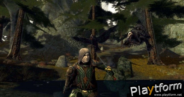 The Lord of the Rings Online: Siege of Mirkwood (PC)