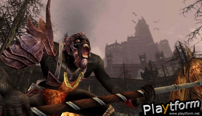 The Lord of the Rings Online: Siege of Mirkwood (PC)