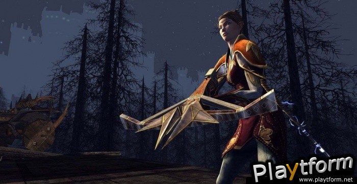 The Lord of the Rings Online: Siege of Mirkwood (PC)