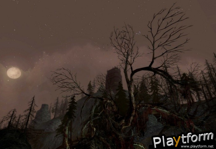 The Lord of the Rings Online: Siege of Mirkwood (PC)