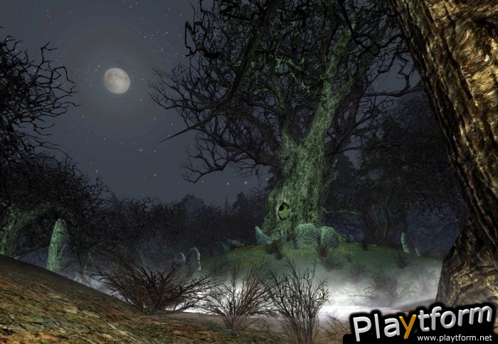 The Lord of the Rings Online: Siege of Mirkwood (PC)