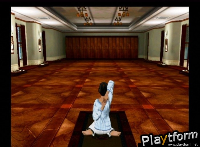 Yoga (Wii)