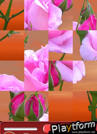 Bewilder-III 101 flowers jigsaw puzzle game (iPhone/iPod)