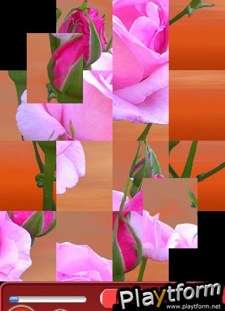 Bewilder-III 101 flowers jigsaw puzzle game (iPhone/iPod)