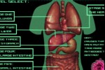 BloodStream Raiders (iPhone/iPod)