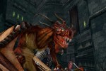 The Lord of the Rings Online: Siege of Mirkwood (PC)