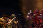 The Lord of the Rings Online: Siege of Mirkwood (PC)