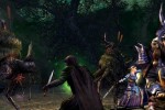 The Lord of the Rings Online: Siege of Mirkwood (PC)
