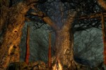 The Lord of the Rings Online: Siege of Mirkwood (PC)