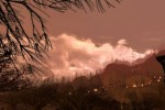 The Lord of the Rings Online: Siege of Mirkwood (PC)
