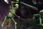 The Lord of the Rings Online: Siege of Mirkwood (PC)