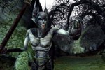 The Lord of the Rings Online: Siege of Mirkwood (PC)