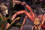 The Lord of the Rings Online: Siege of Mirkwood (PC)