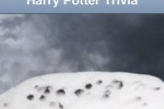 Harry Potter Trivia (iPhone/iPod)