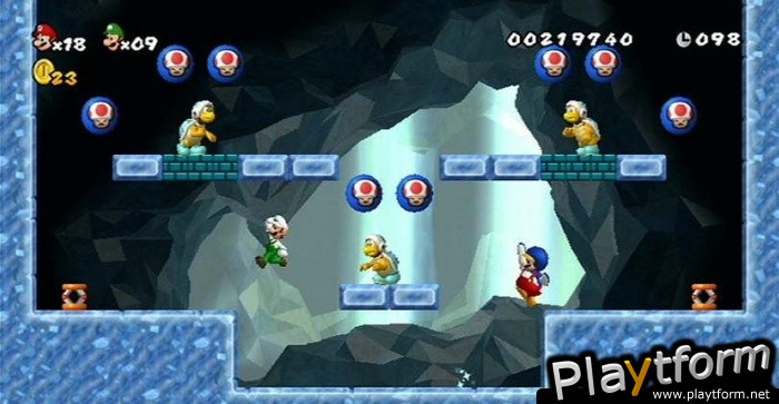 New Super Mario Bros. Wii (Wii)