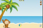 Air CocoMon: Free Flight of the Monkey's Coconut (iPhone/iPod)