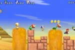 New Super Mario Bros. Wii (Wii)