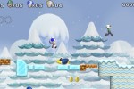 New Super Mario Bros. Wii (Wii)